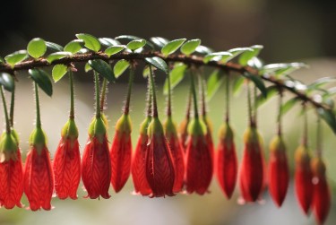 温州瑞安7零用贷短借：轻松解决临时资金需求