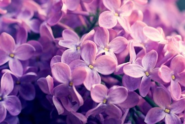 温州瑞安7企业急用钱贷款攻略：快速融资解燃眉之急